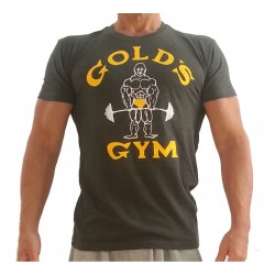 Camiseta Gold's Gym Joe  Charcoal.