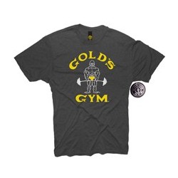 Camiseta  Joe Gold's Gym GRIS.