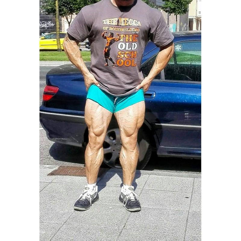 golds gym shorts
