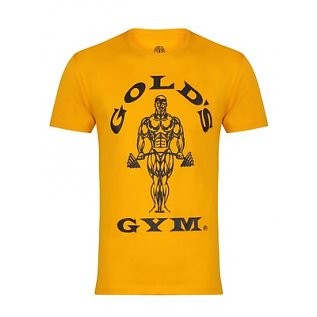 Camiseta de gimnasio físico de Gold's Gym Fitness Center, camiseta, oro, s,  gimnasio png